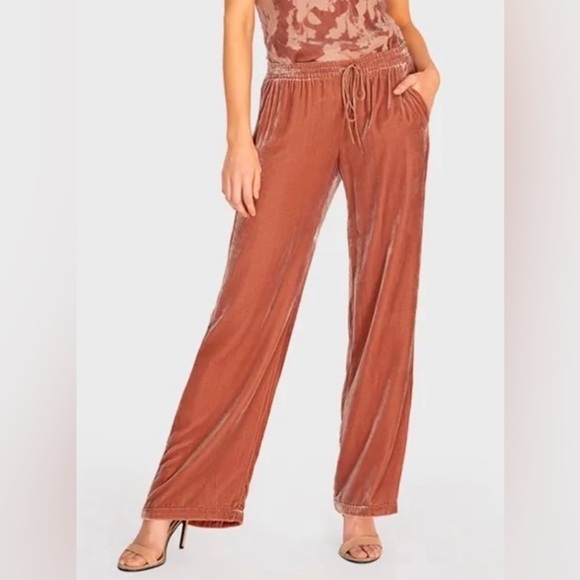 Johnny Was Jade Silk Velvet Sloane Easy Pant in Burnt Sienna S - Picture 1 of 6